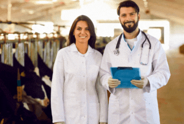 Clínicas Veterinárias