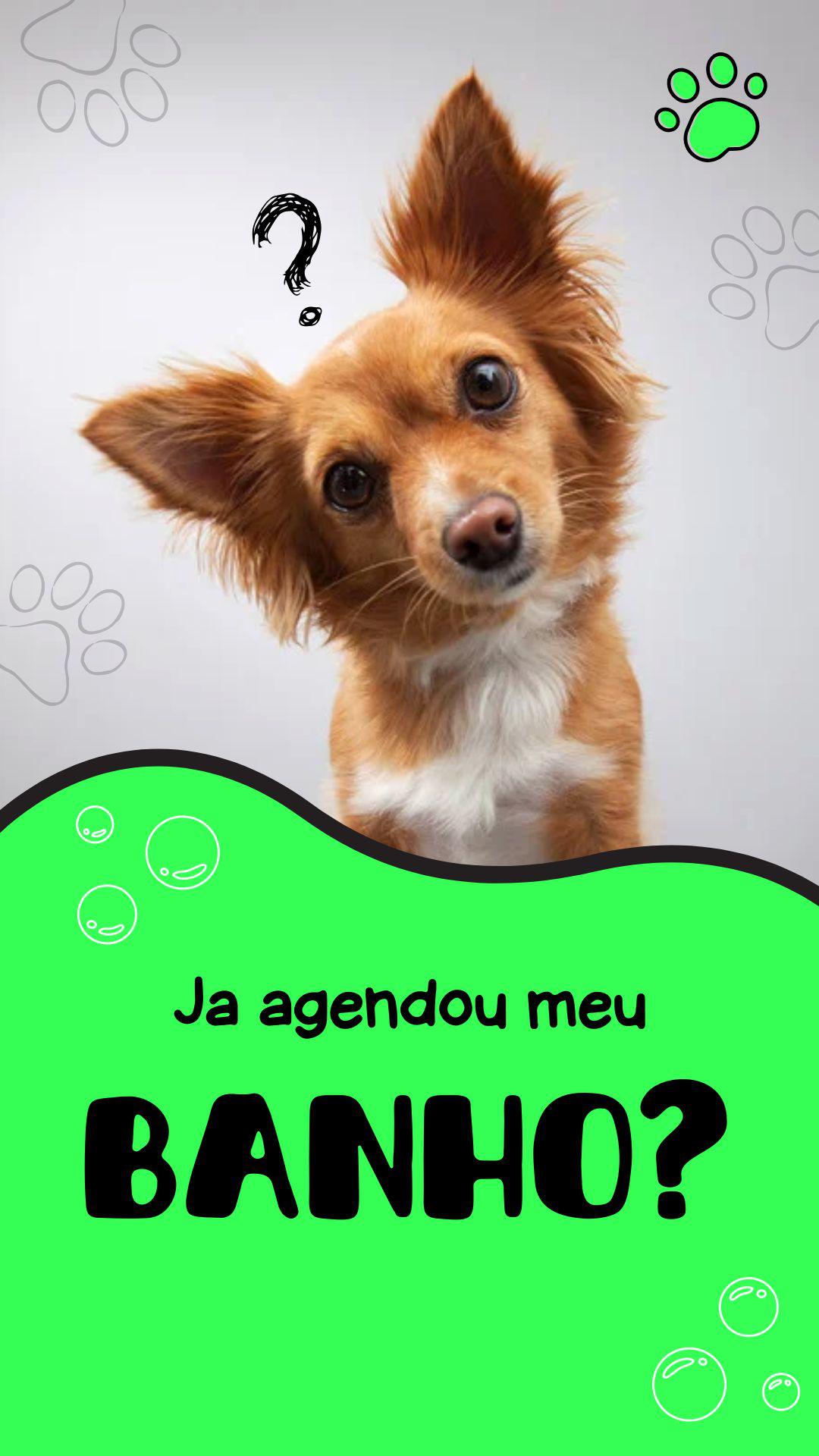 Banho e Tosa